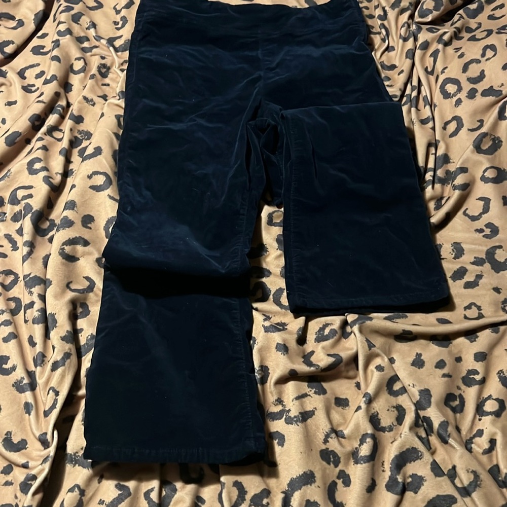 Free people cropped velvet pants size S